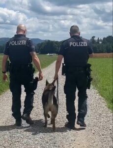 MEHR LESEN